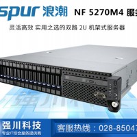 浪潮（INSPUR）NF5270M4服务器/数据库/虚拟化/ERP/2U机架式3.5寸8盘位单电